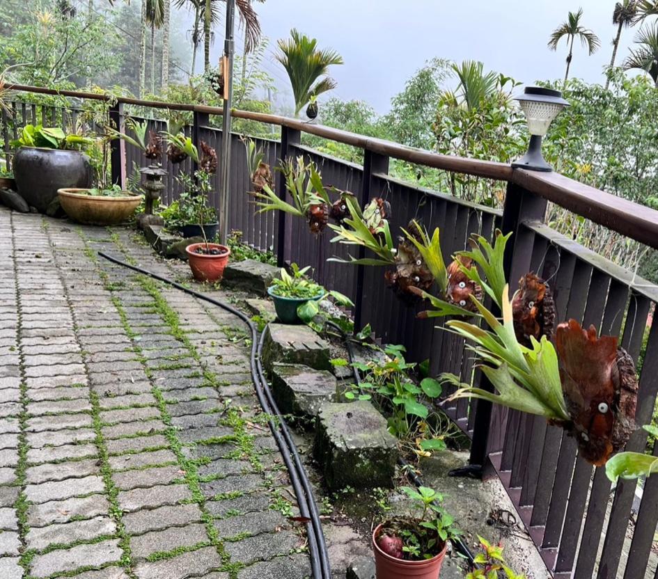 仲明居zhong Ming Ju Taoyi Fang Bed and Breakfast Fanlu Buitenkant foto